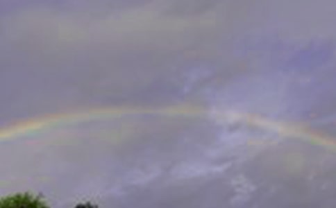 �����������Ͳʺ�����