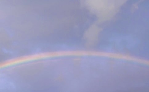 д�ʺ������300��6ƪ