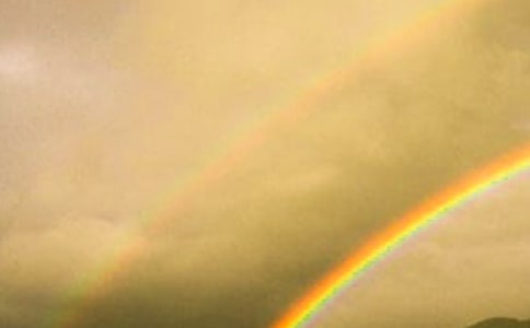 �ʺ�����600��(����8ƪ)