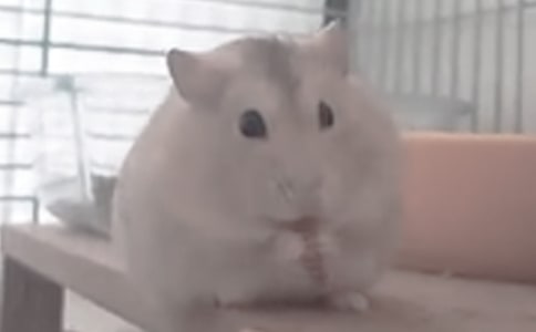 (��)��������600��