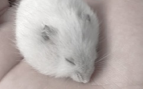 ����ѡ����������400��8ƪ