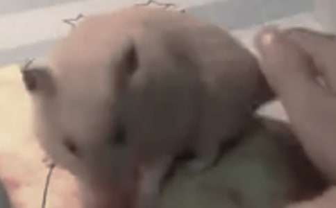 �ҼҵĲ�������300����ƪ