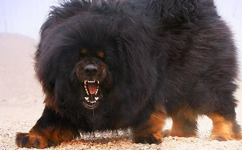 �йز�������300��3ƪ