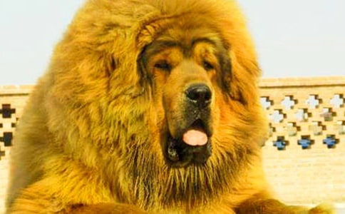 ��������300��8ƪ