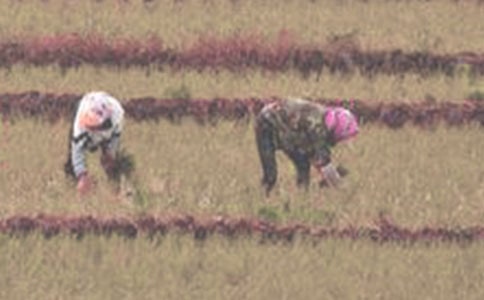 ʵ�õĲ�������600��