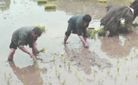 ��������400��