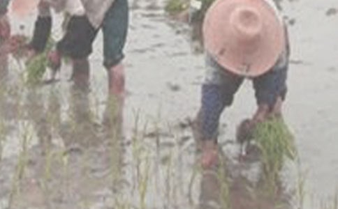 ���ڲ�������300�֣�ͨ��22ƪ��