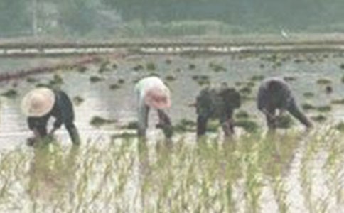 �йز�������400����ƪ