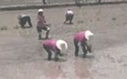 ��ѡ��������400����ƪ