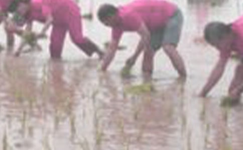 ��������500��4ƪ