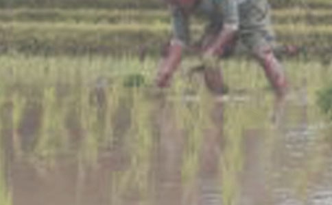 ��������500��3ƪ