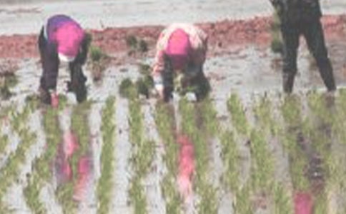 ��������400��[��]