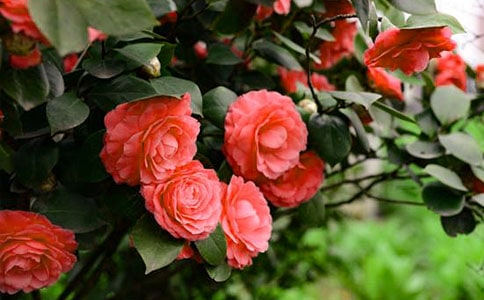 �軨������400��