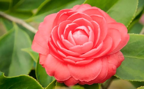 д�軨������400��