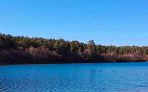 ����ɽд������