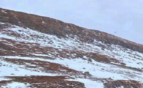 长白山游记作文通用15篇