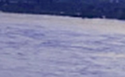 精选长江作文300字4篇