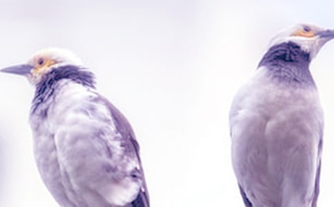 读《吵架》有感