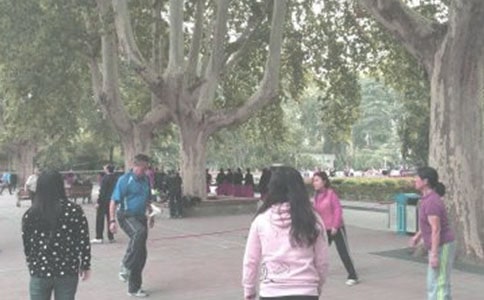 ����Сѧ����7ƪ