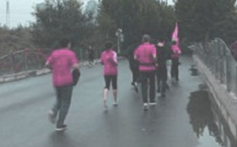 ����Сѧ����5ƪ