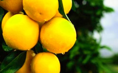 ����ѡ����������300��4ƪ