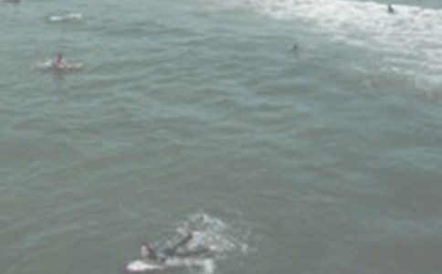 ��ѡ���˵�����300����ƪ