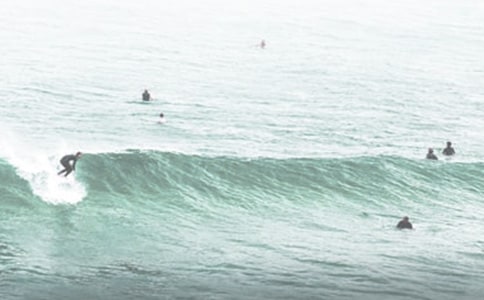 ���ڳ�������300����ƪ