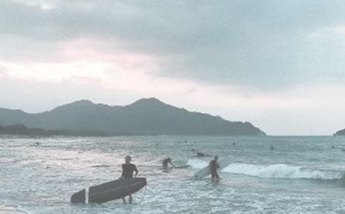 ����Сѧ����9ƪ