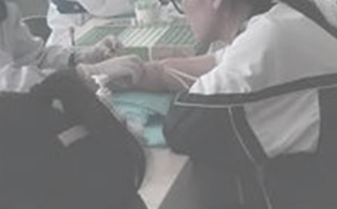 ��һ�γ�Ѫ���Ĺ�5ƪ