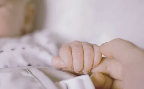 ��������������ľ��ʸ�������