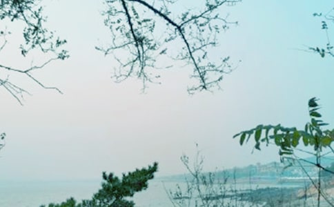 ����200������