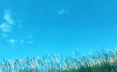 ��ѡд��������300����ƪ