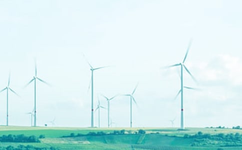 д��������600��7ƪ