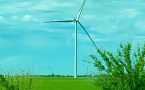 ��ѡд���������300����ƪ