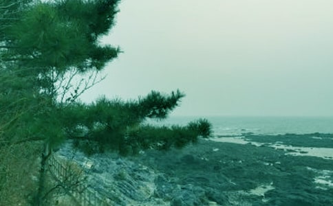 ���������450��