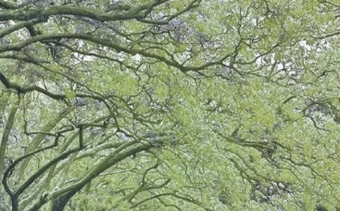 ��ʵ�á����������300��3ƪ