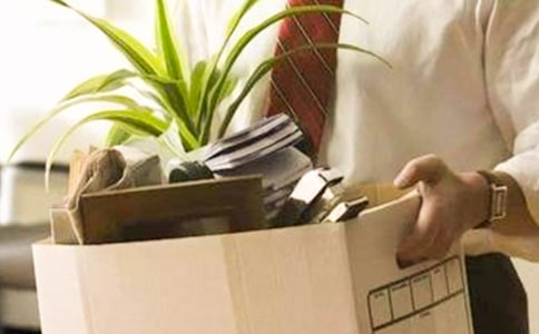 妈妈的辞职小学作文