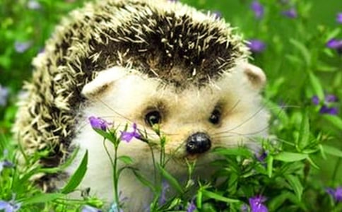 �������400��8ƪ