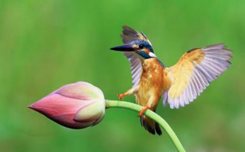 ��ѡ��������300��6ƪ