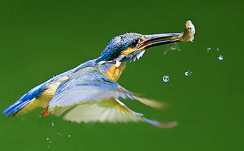 ʵ�õĴ�������300����ƪ