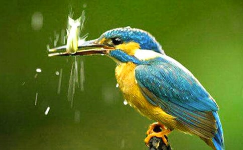 ��������300��3ƪ