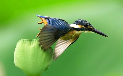 ��������300��4ƪ