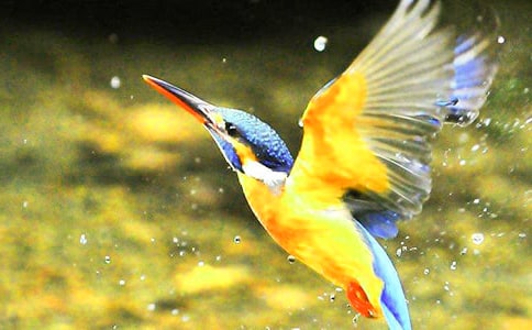 ��������300�֣�ͨ��30ƪ��