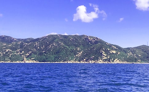 ���ڴ�����500�ֺϼ�ʮƪ