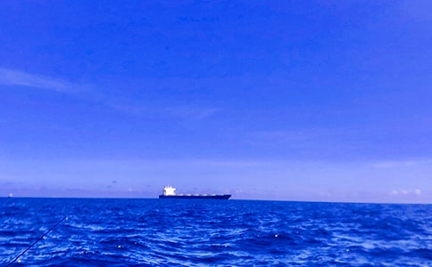 ʵ�õ��Ұ������꼶���ĺϼ�ʮƪ