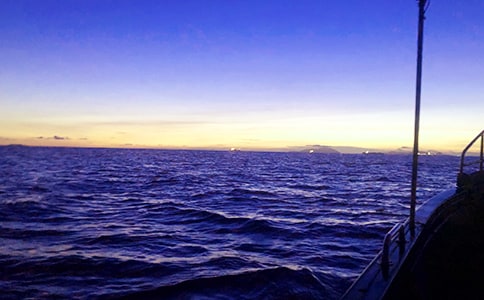 美丽的大海三年级作文汇总六篇