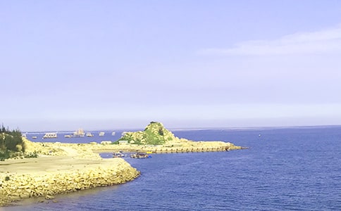 有关大海写景作文汇编七篇