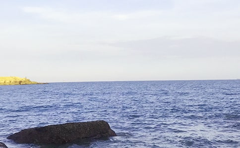 �����ţ�������600��4ƪ