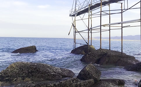 ���ڴ󺣵�һ�꼶���ģ���ѡ44ƪ��