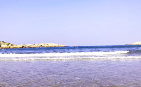 【热门】大海写景作文锦集6篇